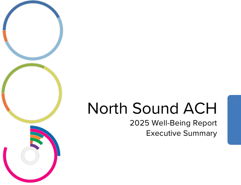 Summary – North Sound 2025 Well-Being Survey Results