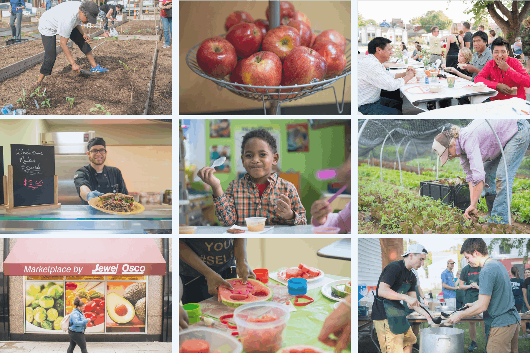 North Sound Voices Podcast graphic 