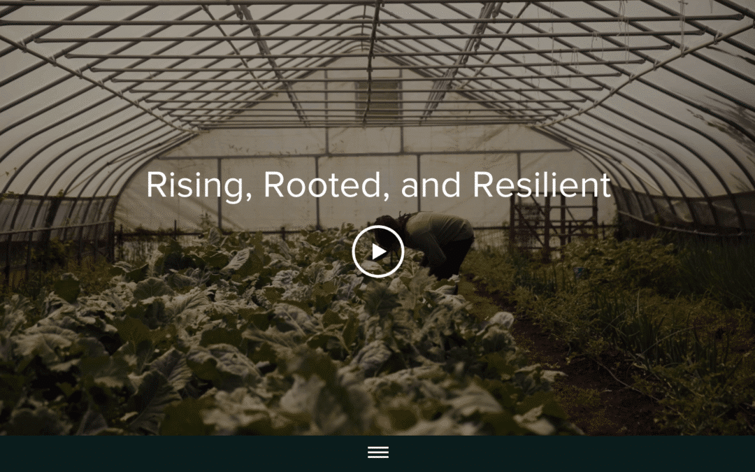 Rising, Rooted, and Resilient