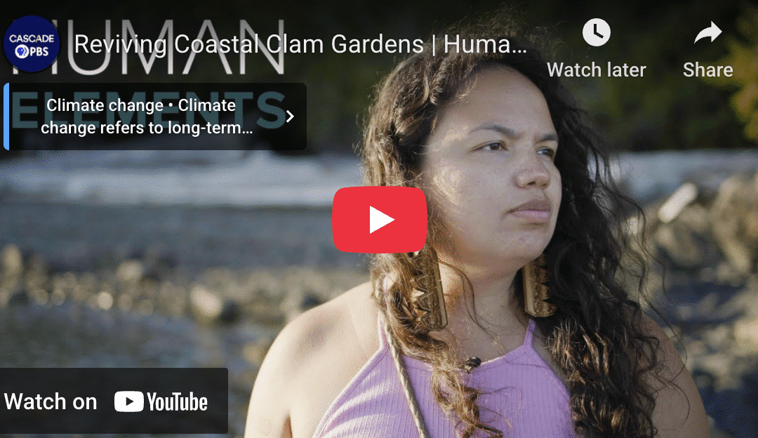 Reviving Coastal Clam Gardens: Swinomish Tribal Community