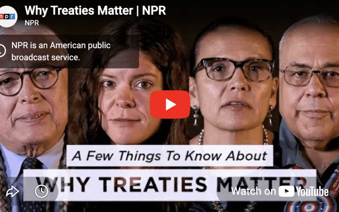 Why Treaties Matter