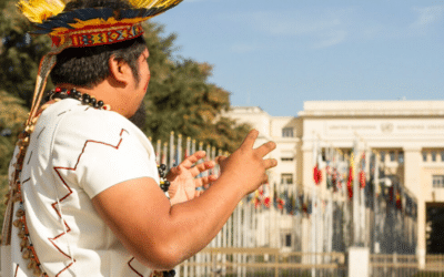 Advocacy | Tribal Learning Journey